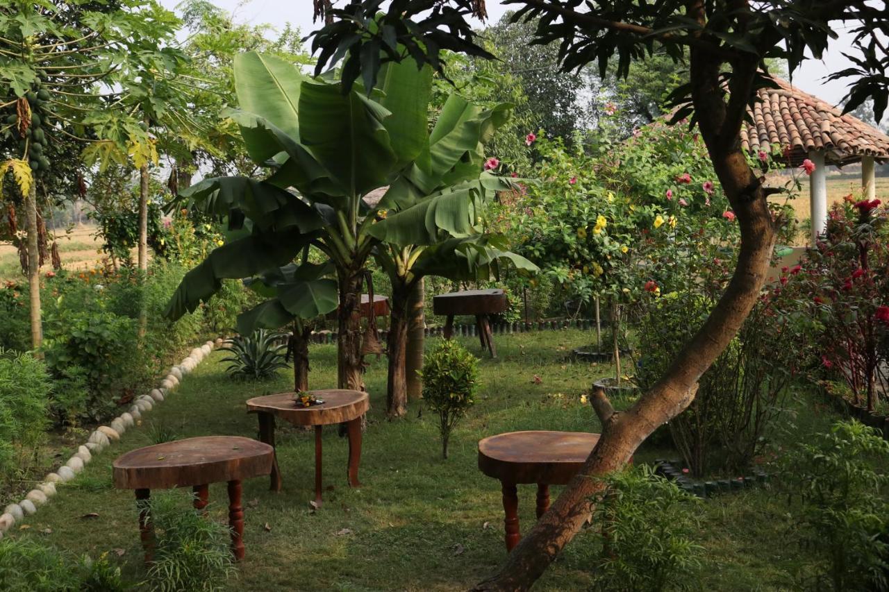 Bardia Eco Friendly Homestay Bardiya Exterior photo