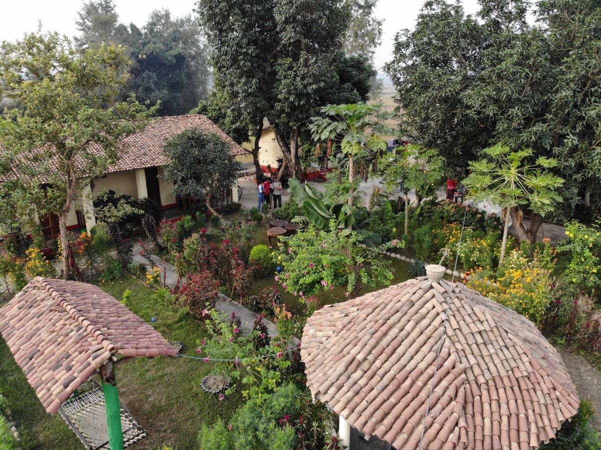 Bardia Eco Friendly Homestay Bardiya Exterior photo