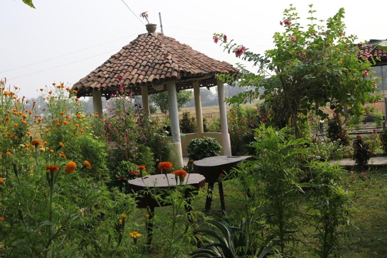 Bardia Eco Friendly Homestay Bardiya Exterior photo