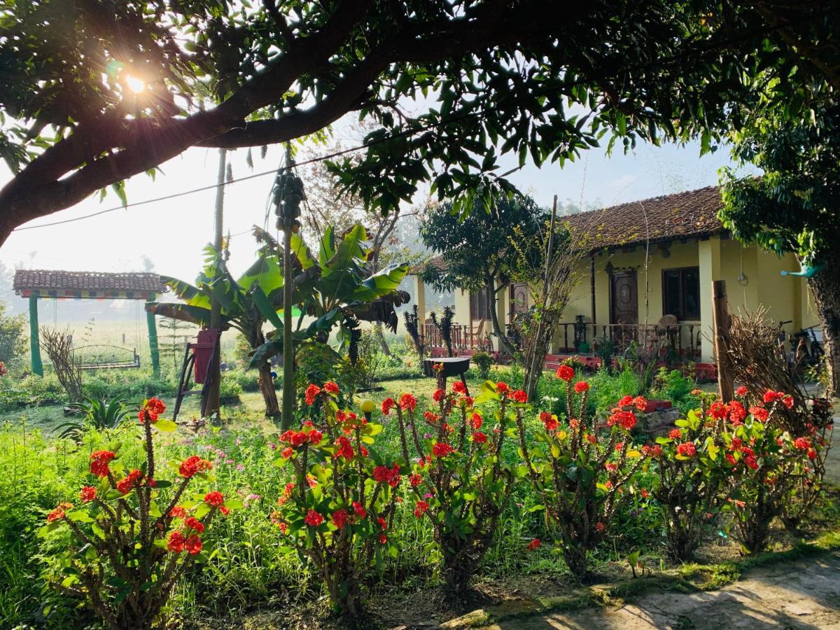 Bardia Eco Friendly Homestay Bardiya Exterior photo